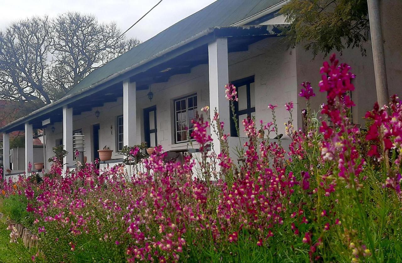 Over The Mountain Guest Farm George Esterno foto