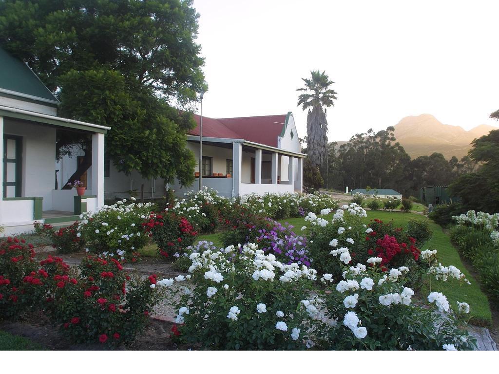 Over The Mountain Guest Farm George Esterno foto