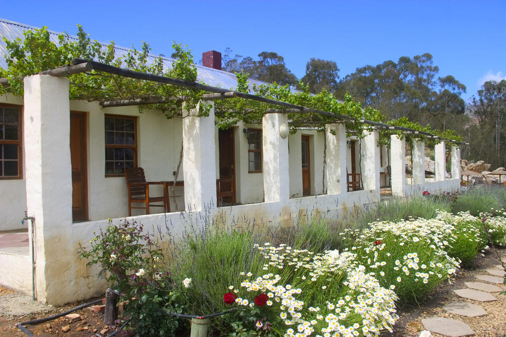 Over The Mountain Guest Farm George Esterno foto
